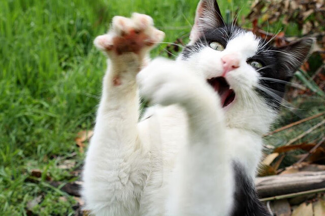 中国足协召开裁判制度改革研讨会，中国足协裁判员官网